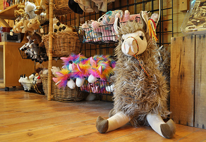 Apple Hill Farm Store Banner Elk Boone NC