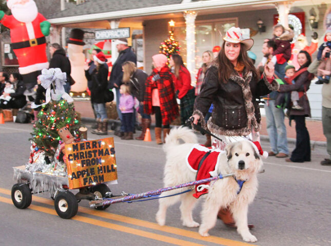 A Small Town Christmas Parade