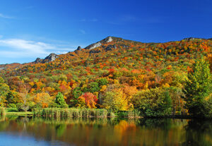 Fall color in NC mountains Banner Elk leaf looking