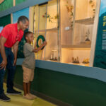 Flora Wall_Wilson Center for Nature Discovery_Grandfather Mountain