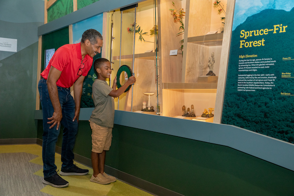 Flora Wall_Wilson Center for Nature Discovery_Grandfather Mountain