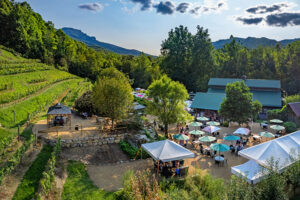 Aerial view of Grandfather Winery & Vineyard in Banner Elk NC
