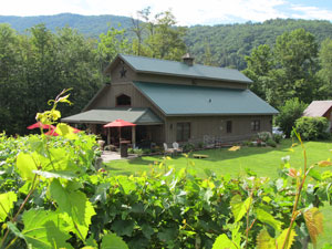 Grandfather Vineyard