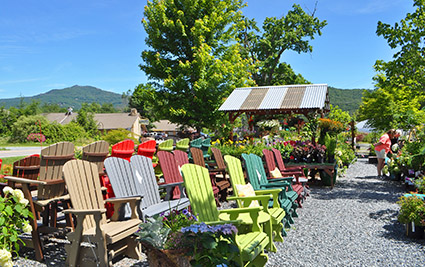 Garden Center shopping in Banner Elk