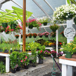 Mountaineer Garden Center Banner Elk NC