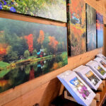 Wall-mounted nature photos at Mountain Hugger Gallery