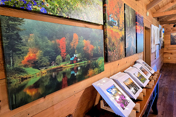 Wall-mounted nature photos at Mountain Hugger Gallery
