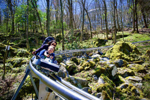 Alpine Coaster in North Carolina Banner Elk