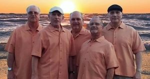 Concert in the Park: The Night Move Band @ Tate-Evans Park | Banner Elk | North Carolina | United States