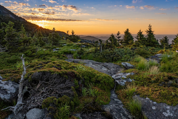 Sunrise over landscape at Grandfather Mountain