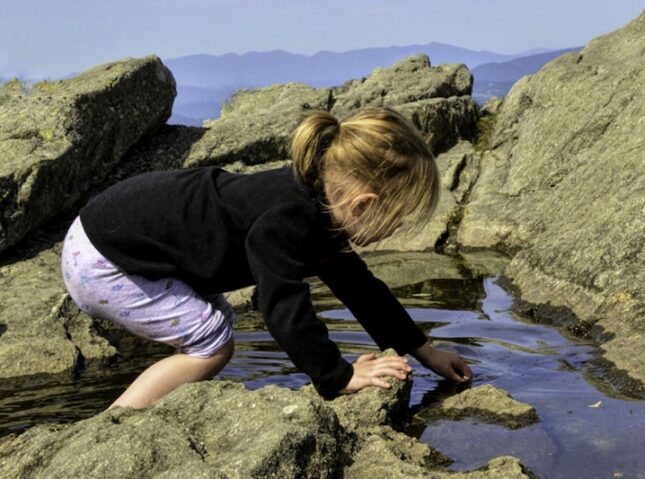 Junior Naturalist Day