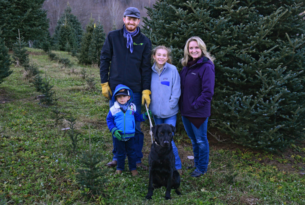 Banner Elk Choose & Cut Christmas Tree Packages Banner Elk NC